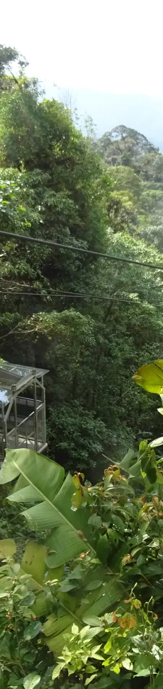 Outdoor-Aktivitäten unternehmen in La Fortuna